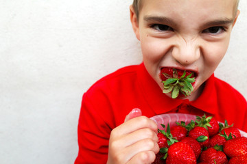 Funny young boy eating a ripe strawberry.