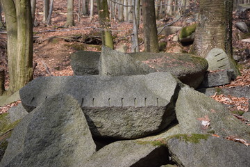 Fototapeta premium Felsenmeer bei Reichenbach