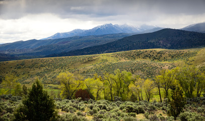 The Landscape of John Day Fossil Beds National Monument