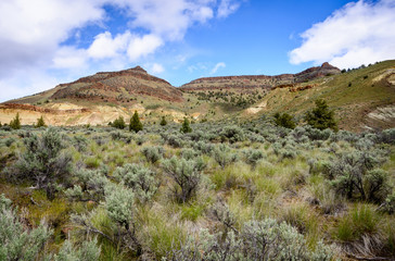 The Landscape of John Day Fossil Beds National Monument