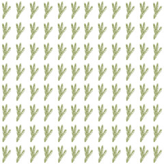 Floral vector seamless pattern with hand drawn pine or fir trees branches.
