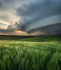 Zelfklevend Fotobehang Cyclone on the field. Beautiful natural landscape in the summer time © biletskiyevgeniy.com