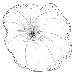 Obraz premium Isolated flower sketch