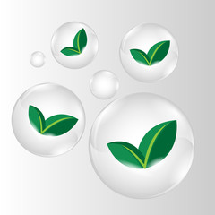 Obraz premium green leaves in clear glossy vector