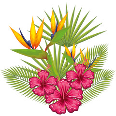 Colorful tropical flowers and leaves over white background vector illustration
