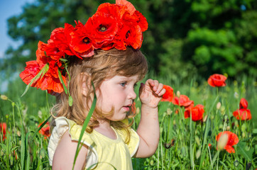 Charming little girl in a poppy field with a bouquet of poppies on her head