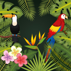Tropical flowers and leaves with toucan and guacamaya frame over green background vector illustration