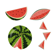 Vector illustration of whole ripe red fruit watermelon, cut half, sliced slice berry with red flesh isolated on white background. 
