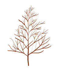 Colorful abstract drawn brown tree on white background, isolated cartoon illustration of tree silhouette painted by acrylic paint ink, high quality
