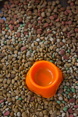 Empty plastic bowl surrounded by dry pet food.