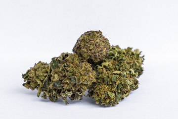 Close up of medical marijuana buds cbd Cannabidiol