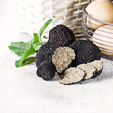 Black truffles with egg on white background. Copy space.
