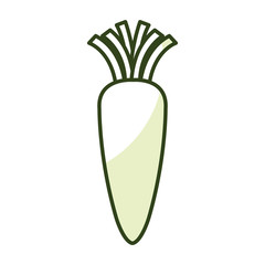 carrot fresh vegetable icon vector illustration design