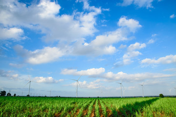 Wind turbine farm with blue sky, wind mill view, Green energy, Nature energy, Alternative power - 161891134