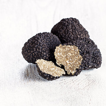 Black truffles on white background. Copy space.