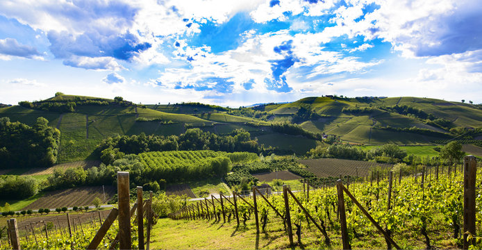 View of the vineyards and the hills of Langa Piemonte Italy, a spectacular cloudy sky
