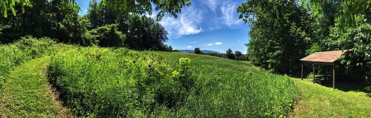 Forest gazebo, rolling hills, and distant mountains