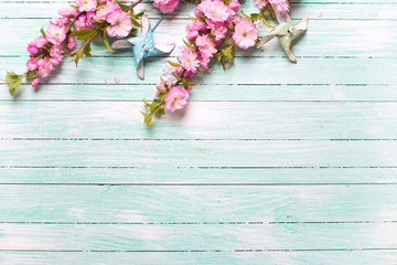  Pink almond  flowers and decorative windmills on turquoise wooden background.