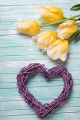 Background with spring tulips. Yellow tulips flowers and decorative heart  on turquoise wooden background. Selective focus.