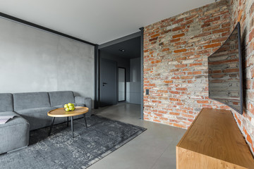 Living room with brick wall