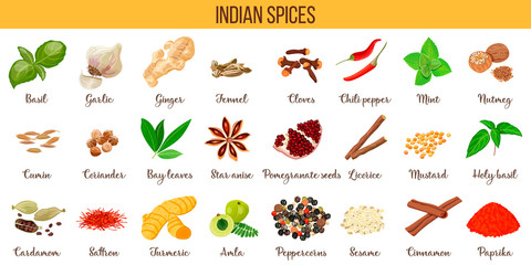 Big vector set of popular culinary spices silhouettes. Ginger, chili pepper, garlic, nutmeg, anise etc.