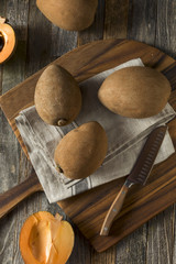 Raw Organic Brown Mamey Fruit