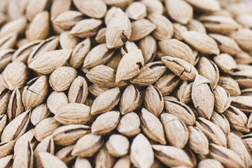 Roasted inshell almonds close up