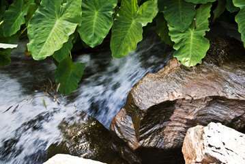 Finlay Park