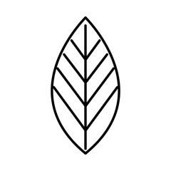 leafs plant ecology icon vector illustration design