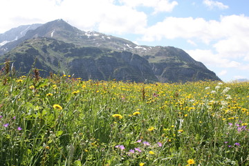 Fototapeta premium Arlberg, Österreich