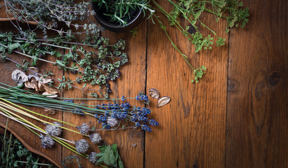 Homegrown fresh and dry herbs composition on rustic table
