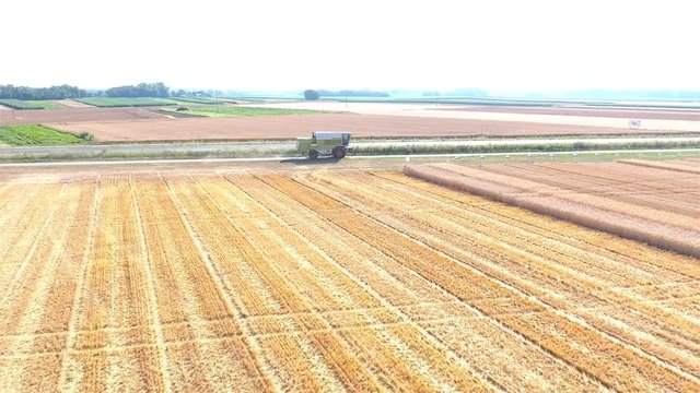 Harvester combine driving on road to wheat field 4K