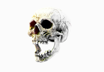 Human Scary Skull Locally Deformed in Rich colors in to the White or Dark Background. Concept of death, horror. Spooky halloween symbol. Illustration of 3D rendering.