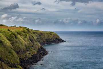 Fototapeta na wymiar North Coast at Capelas on Sao Miguel Island