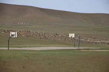 Mongolie