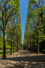 Fototapeta na wymiar Beautiful public Park de Sceaux was designed by Andre Le Notre (XVII century) at request of Colbert. Chateau de Sceaux - grand country house in Sceaux, Hauts-de-Seine not far from Paris, France.