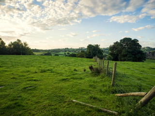 Fototapeta na wymiar summer countryside morning,Northern Ireland