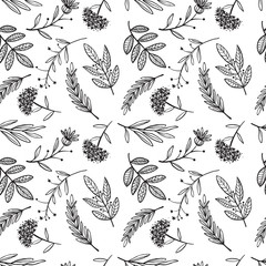 herbal sketch, detox. Seamless pattern design