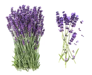 Deurstickers Lavender flowers isolated white background © LiliGraphie