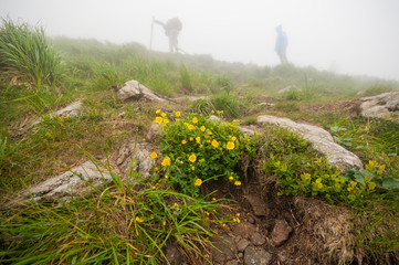 Подъем на Говерлу