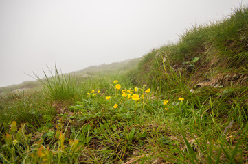 Подъем на Говерлу