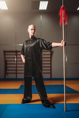 Wushu fighter poses with lance, martial arts