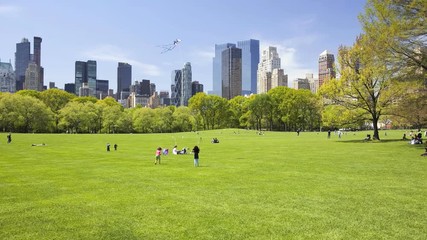 Sheep Meadow in Central Park, New York City, time lapse