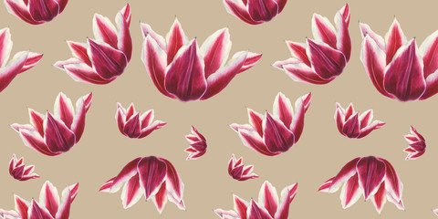 White and red tulip flower on brown background. Seamless watercolor pattern