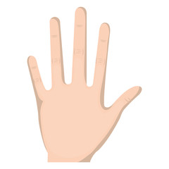 Fototapeta premium hand human open icon vector illustration design