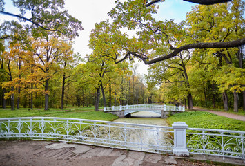Picturesque views of the Alexander Park in the city of Pushkin in the golden autumn. Tsarskoe Selo,...