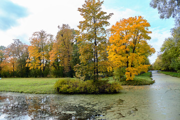 Fototapeta premium Picturesque views of the Alexander Park in the city of Pushkin in the golden autumn. Tsarskoe Selo, St. Petersburg, Russia.
