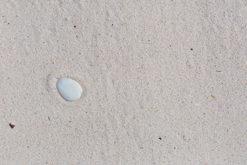 White pebbles, round small stones in a row on dry white sand beach, space for letters or text