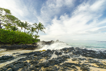 MAUI BEACH 1