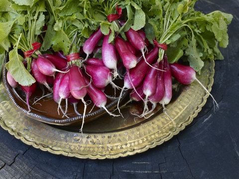Bunches of radishes on Brass Platter